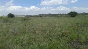 Isinya Plains Prime Plots