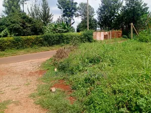 Muthacha Mwongoiya Prime Plot,5.8