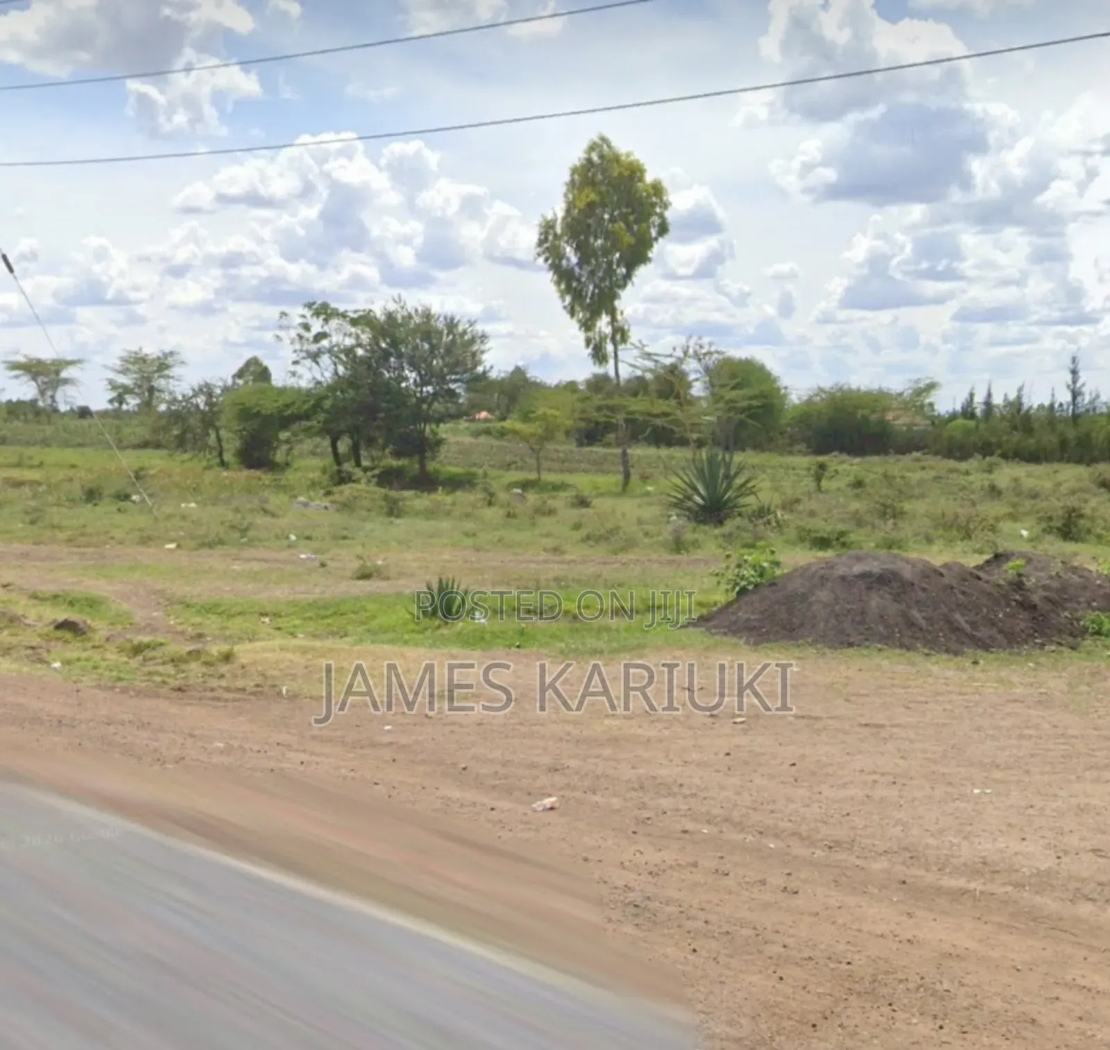 Prime Plots at Koma