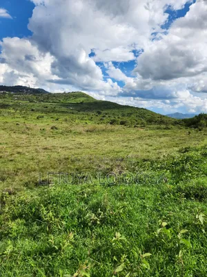 Ngong 65 Acres on Sale