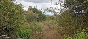 Nyeri, Mweiga 25 Acres Flat Land Bondering Sangare Homes