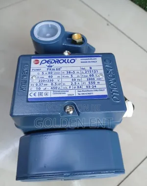 Pedrollo 0.5hp Water Pump/Pedrollo Water Pump