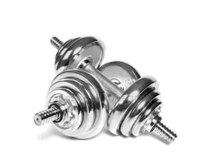 10kgs Chrome Dumbbells