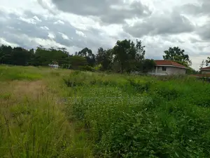 1.2 Acre Prime Land for Sale – Muthaiga North, Opposite Balozi Estate