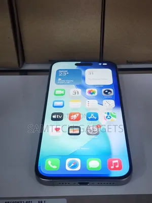 Apple iPhone 15 Pro Max 256 GB Gray
