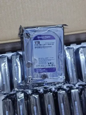 Western Digital 1tb DVR/NVR Surveillance Drive