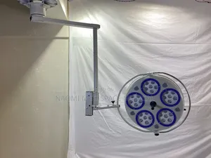 Ceiling Mounted Led Light 5 Bulbs