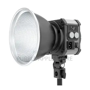 M300 Bi-Color 300w Led Video Light