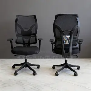 Office Orthopedic Mesh Chair.