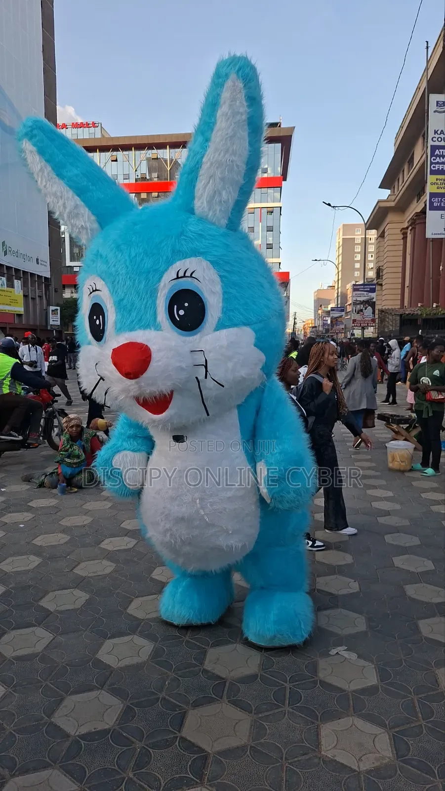 Mascot Services