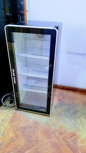 Display Fridge 100l