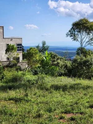 3⁄8 Acre Plots on Sale Ngong-Kibiko ( Baboon Crescent)