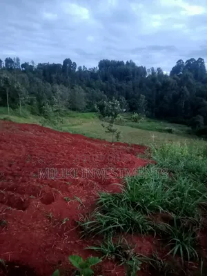 4 Acres on Sale-Kiharu