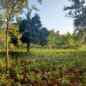 Quarter Acre on Sale in Kirinyaga Rîgîcherû
