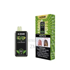 ZMR Puffs Pineapple Icerechargeable Shisha Vape Adjustable Airflow