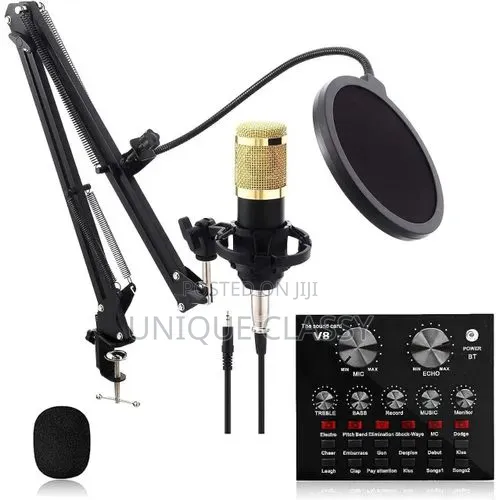 Studio Microphone