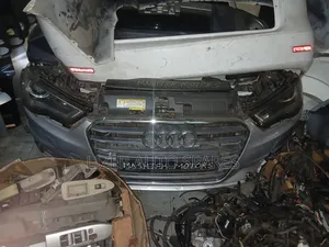 Nose Cut Q5
