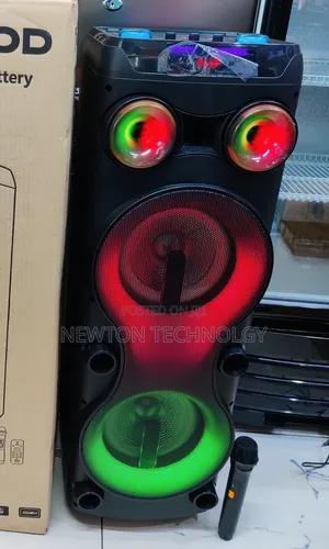 Tagwood Rechargeable Party Box With Microphone and Remote