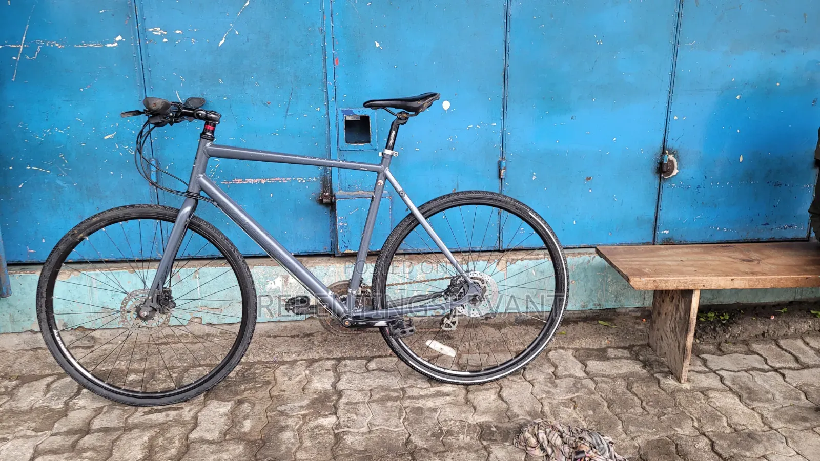 Ridgeback Vanteo