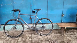 Ridgeback Vanteo
