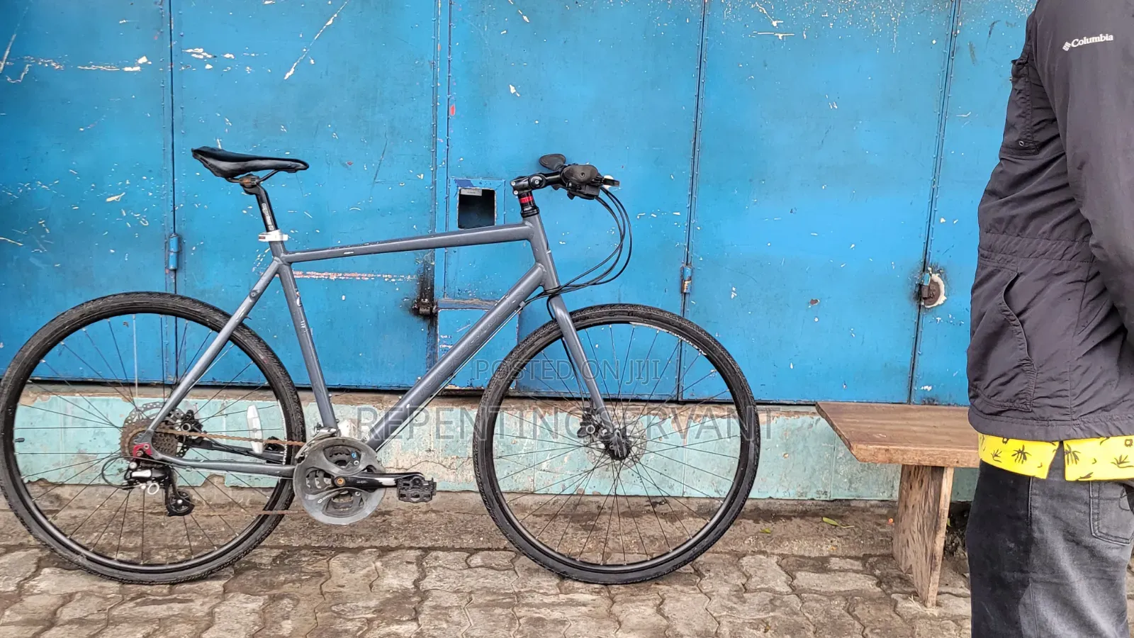 Ridgeback Vanteo