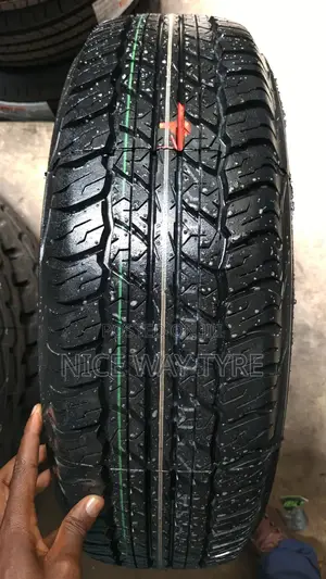 225/70r17 Dunlop