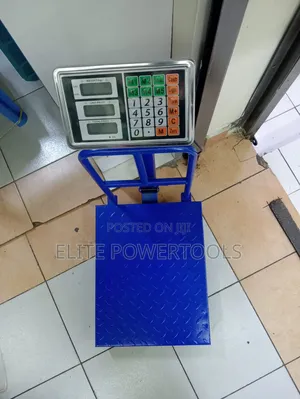 Platform 300kg Scale