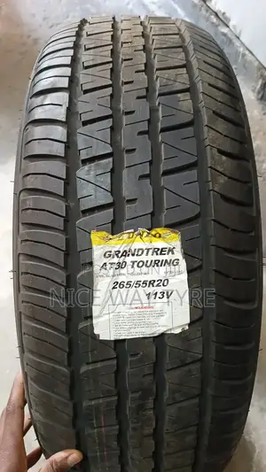 265/55r20 Dunlop