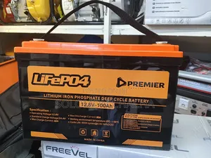 Premier 12.8v 100ah Lithium Iron Phosphate Deep Cycle Battery