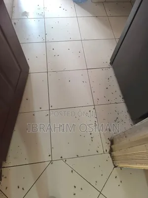 Fumigation Services in Nairobi