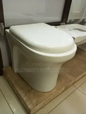 Back to Wall Toilet