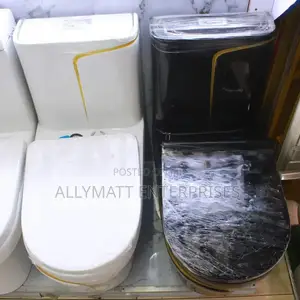 Coloured One Piece Toilet