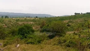 Land on Sale Kwale Count Magodzoni 4,25 Acres 700 Per Acre