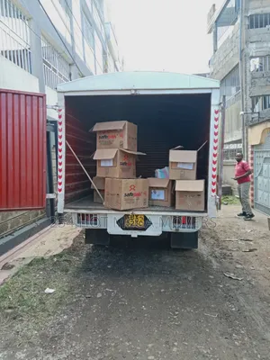 Professional Moving Services and Transport Services