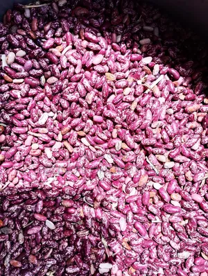 Nyota Beans