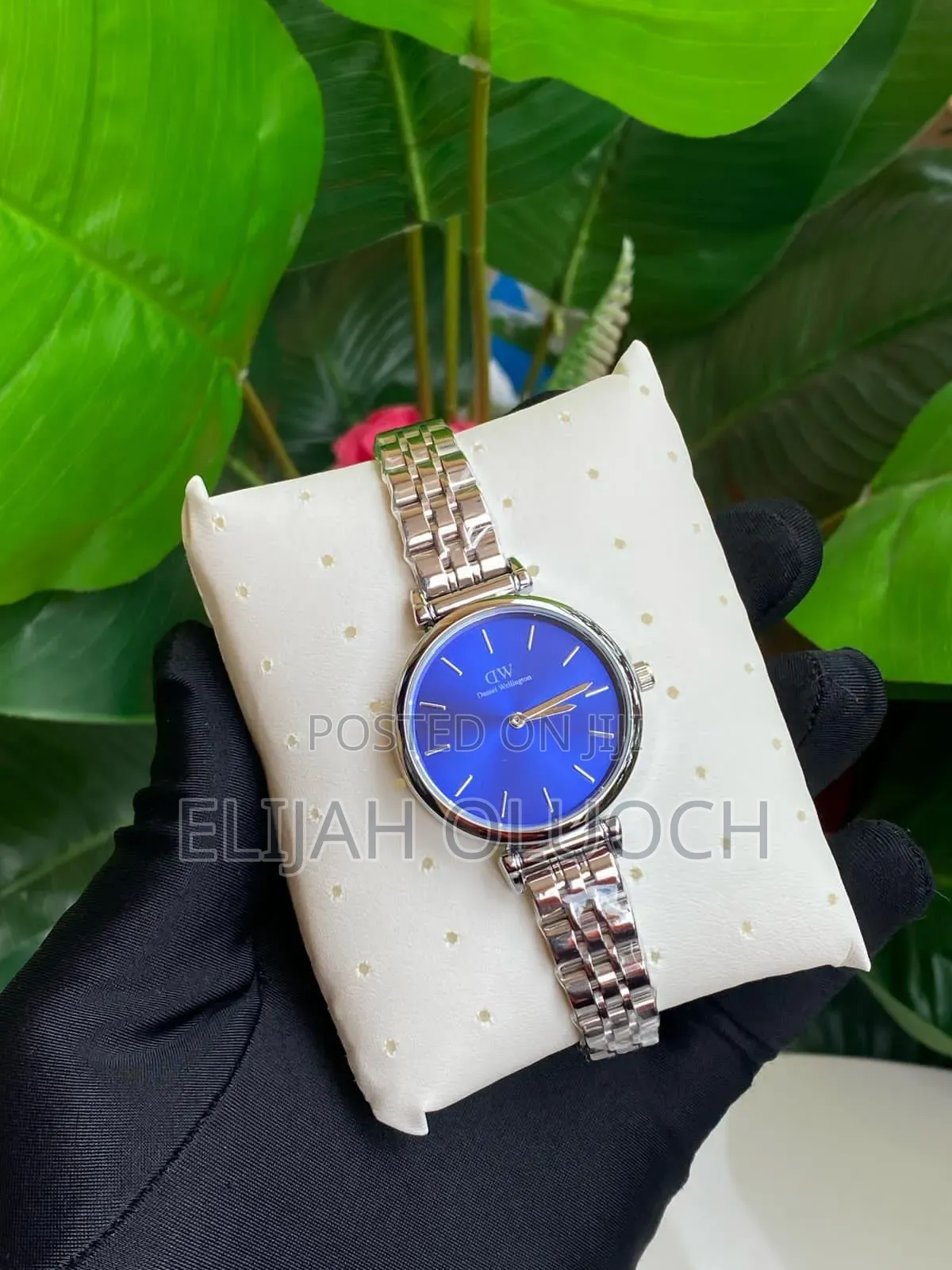 Daniel Wellington (Dw) Ladies Watch
