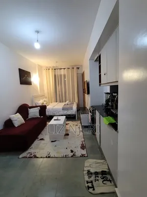 Furnished Superior Studio Kiambu Rd