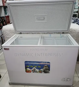 Premier Deep Freezer 100l