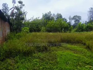 Prime 1/4 Acre Plot of Land in the Grown Rimpa Town!!