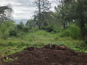 Large Eighth Acre Plot (67*100) for Sale in Ngong, Ol Keri. Red Soil