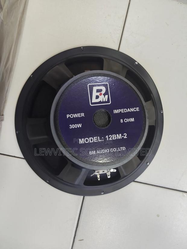 Bm 12 Inch Speaker - main view