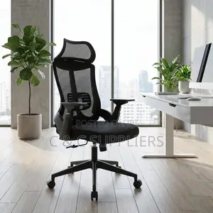 Lama Orthopedic Office Seat