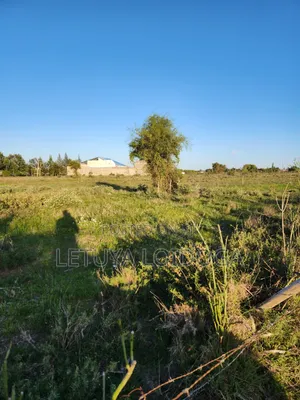 1⁄8 Acre Residential Plots Kajiado-Isinya