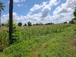 Prime 12-Acre Land for Sale, 2km From Jacaranda Beach – Malindi