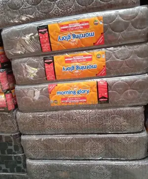 10 Inches Destiny Quilted Mattress 6*6