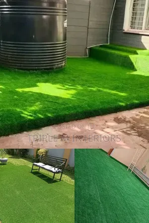 Paws-Approved Freedom Grass