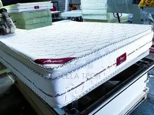10 Inches Spring/Orthopedics Matress 6*6