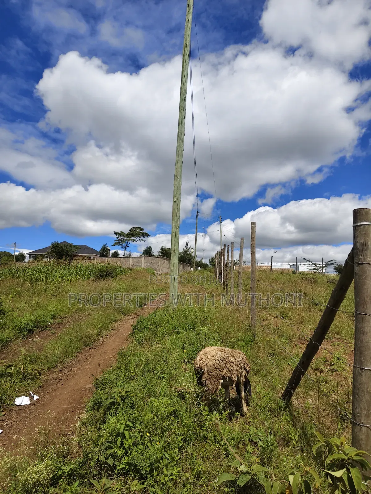 1/4 Acre Plot for Sale in Kiserian.
