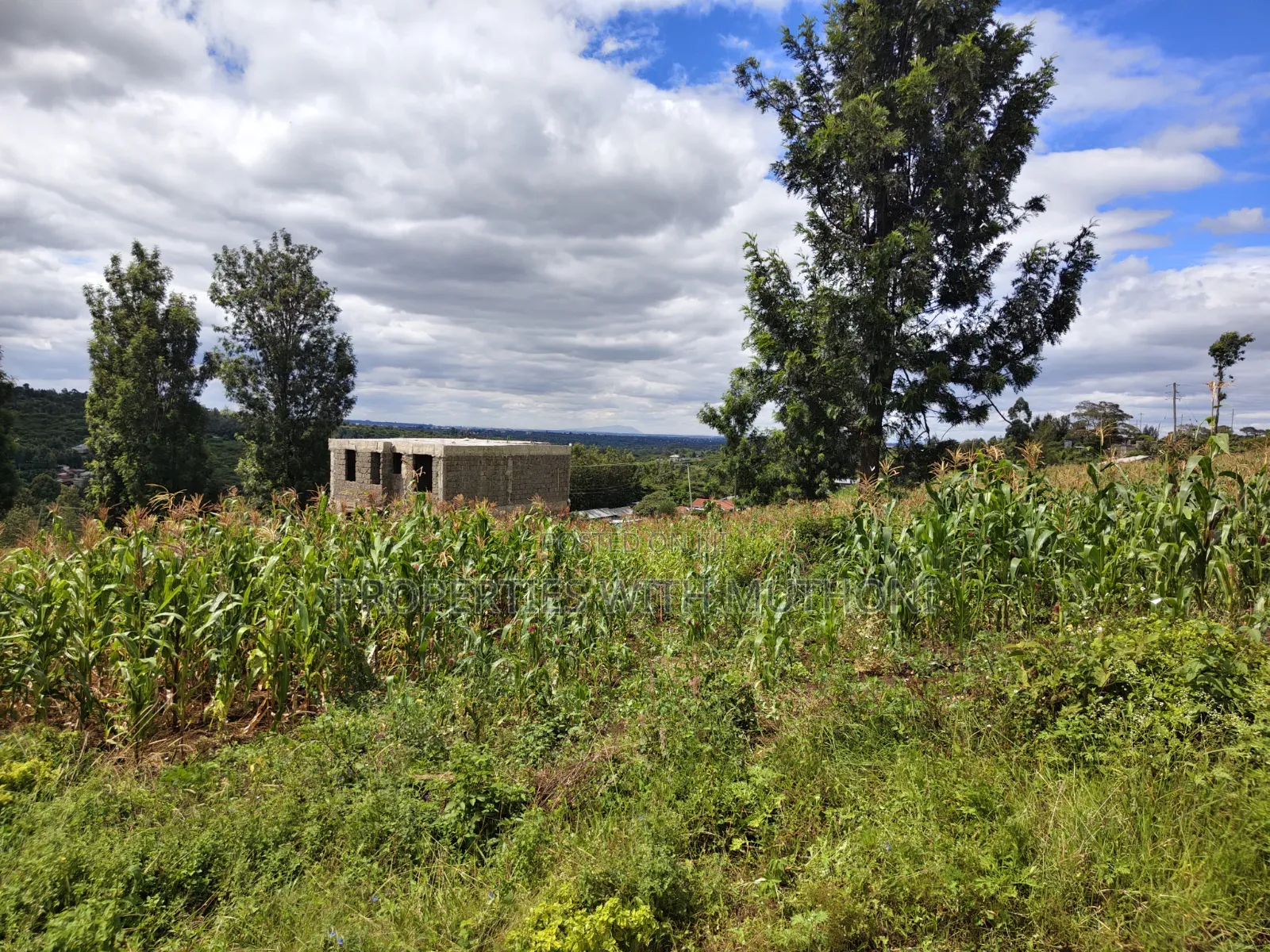 1/4 Acre Plot for Sale in Kiserian.
