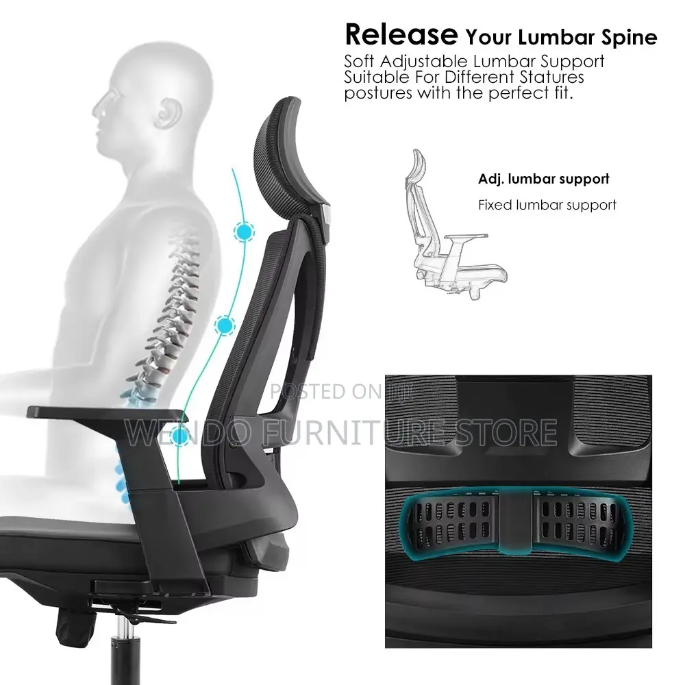 Office Chairs; Ergonomic Back Supportive Office Orthopedic Chairs